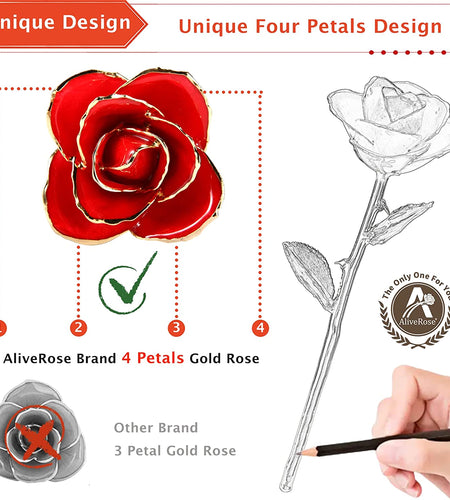 Valentines Day Gift Rose, Long Stem Rose Made from 24K Gold Dipped Real Rose Gift for Her Rose(Red with Crystal Vase)
