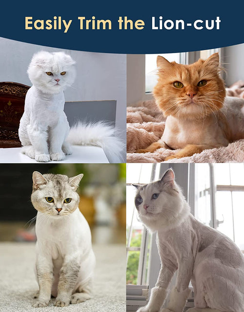 Load image into Gallery viewer, Cat Clippers for Matted Hair, Quiet Cat Shaver for Long Hair, Cordless Cat Hair Trimmer for Grooming, 2 Speed Pet Shaver Cat Grooming Kit for Cats Small Dogs Animals (Blue)
