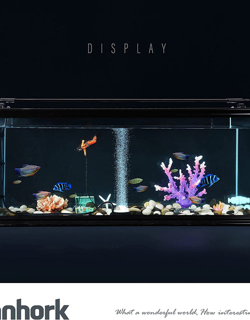 Load image into Gallery viewer, 3/16" Professional Flexible Airline Tubing Standard Aquarium Air Pump Accessories, 20 Feet(Clear-Black)
