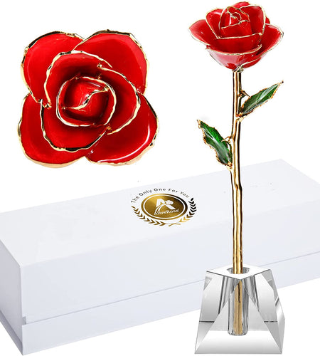 Valentines Day Gift Rose, Long Stem Rose Made from 24K Gold Dipped Real Rose Gift for Her Rose(Red with Crystal Vase)