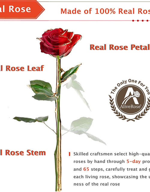 Load image into Gallery viewer, Valentines Day Gift Rose, Long Stem Rose Made from 24K Gold Dipped Real Rose Gift for Her Rose(Red with Crystal Vase)
