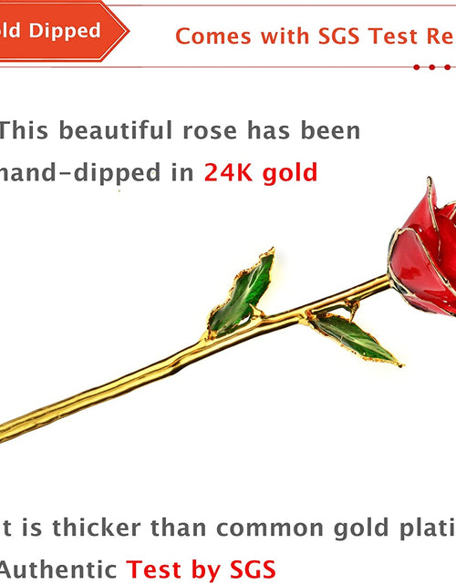 Load image into Gallery viewer, Valentines Day Gift Rose, Long Stem Rose Made from 24K Gold Dipped Real Rose Gift for Her Rose(Red with Crystal Vase)
