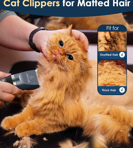 Cat Clippers for Matted Hair, Quiet Cat Shaver for Long Hair, Cordless Cat Hair Trimmer for Grooming, 2 Speed Pet Shaver Cat Grooming Kit for Cats Small Dogs Animals (Blue)